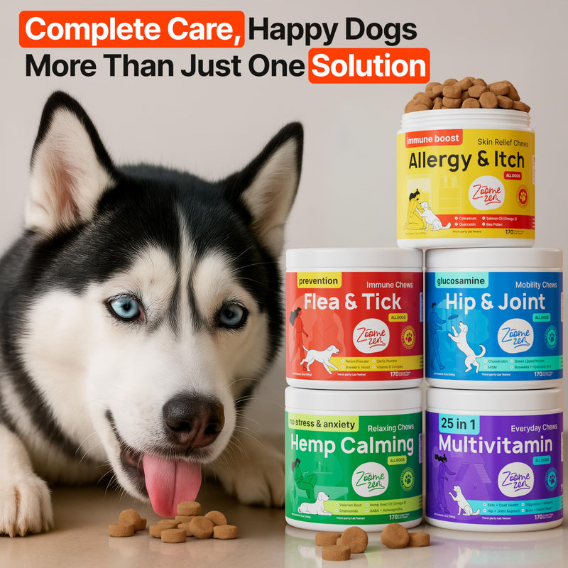 Dog Allergy Chews – Dog Allergy Relief, Itch Relief for Dogs – Anti Itch, Allergies & Immune Chews for Dogs with Omega 3 Fish Oil, Colostrum & Probiotics – 170 Count, Made in USA 170 Chews