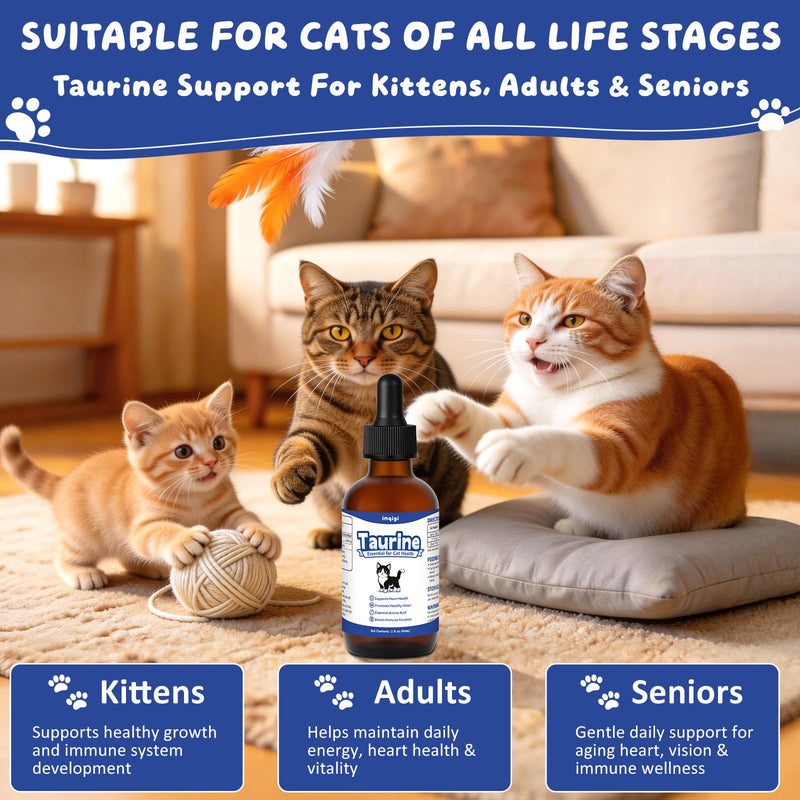 Taurine Supplement for Cats, Taurine Liquid Drops for Heart, Vision & Immune Support, Easy-to-Mix Daily Formula for Kittens, Senior Cats & Picky Eaters, 2 fl oz Natural Feline Nutrition