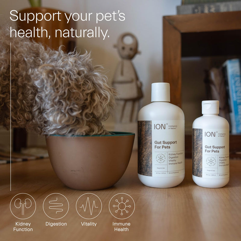 ION Intelligence of Nature Gut Support for Pets | Strengthens Digestion, Supports Kidneys, Aids Immune Function, and Defends from Food Toxins (8 Ounce) 8 Ounce