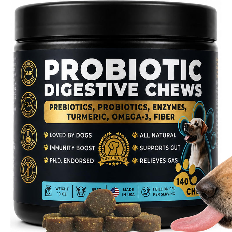 Probiotics for Dogs – Digestion, Gut Health & Firmer Stool | 1 Billion CFU, 6 Strains with Pumpkin, Papaya & Turmeric for All Breeds – Beef Soft Chews Probiotics - Beef 1 Pack