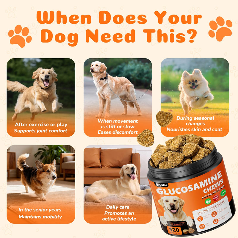 Dogs Joint Health Supplement - Glucosamine, Chondroitin, MSM, Omega 3 - Hip & Joint Pain Relief Soft Chews for All Breeds and Sizes, Chicken Flavor - 120 Count