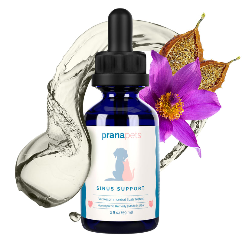PranaPets Sinus Support Liquid Supplement for Pets | Naturally Supports Cat & Dog Sinus Relief | Natural Formula for Congestion - PawsPlanet Australia