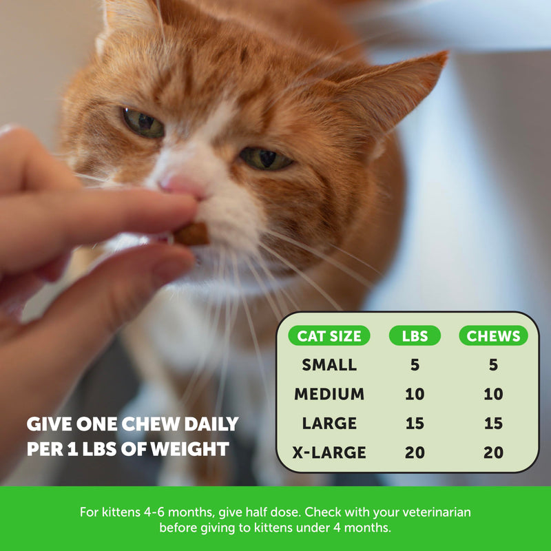 Cat Multivitamin & Hairball Support Virtual Bundle – Multivitamin Chews + Hairball Chews, 90 Day Supply Each
