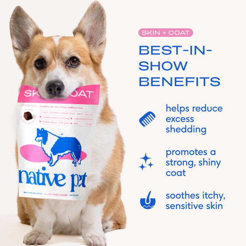 Native Pet Coat Care Bundle: Sockeye Salmon Oil (8 Oz.) & Omega Skin and Coat Chews for Dogs (30 Air-Dried Chews) - Promotes Healthy Skin, Shiny Coat, & Strong Joints - Wild Alaskan Salmon Oil