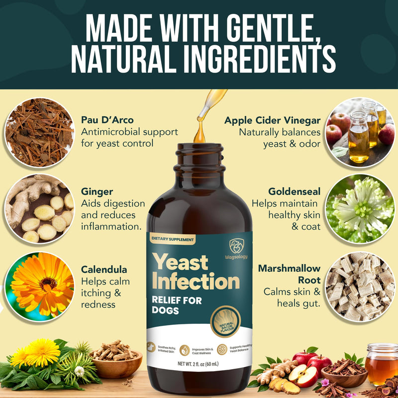 Yeast Infection Treatment for Dogs Drops (7 in 1 Formula) Soothes Itchy & Irritated Skin, Improves Skin and Coat, Dog Yeast Infection Treatment & Anti Yeast Drops for Dogs 60 ml