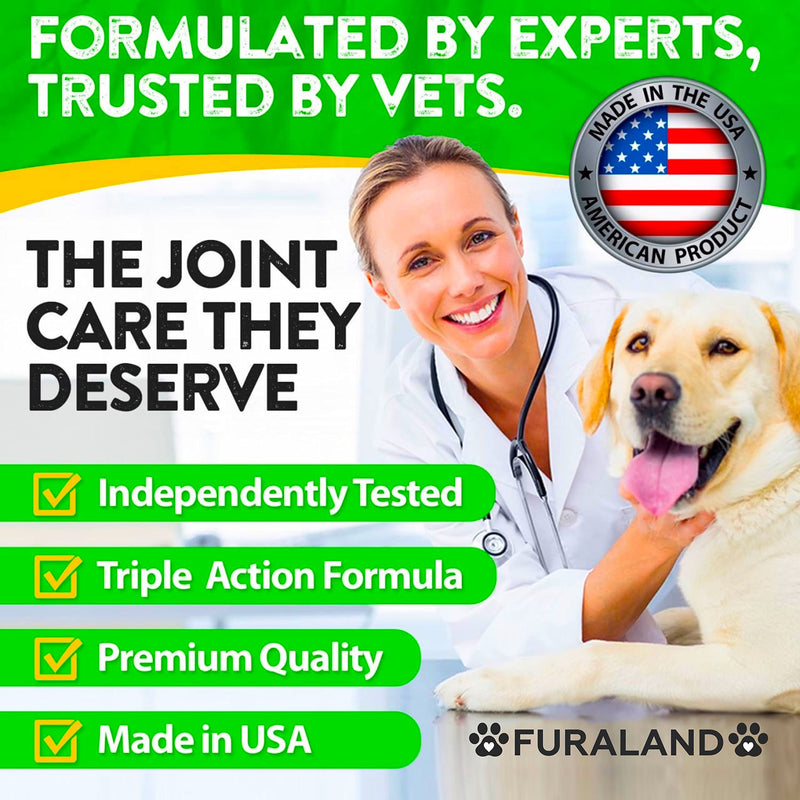 Hemp Hip and Joint Supplement for Dogs - Glucosamine for Dogs - 170 Dog Joint Pain Relief Treats - Chondroitin, Hemp Oil, MSM - Mobility & Flexibility Support - Advanced Care Health - Made in USA 170 Soft Chews