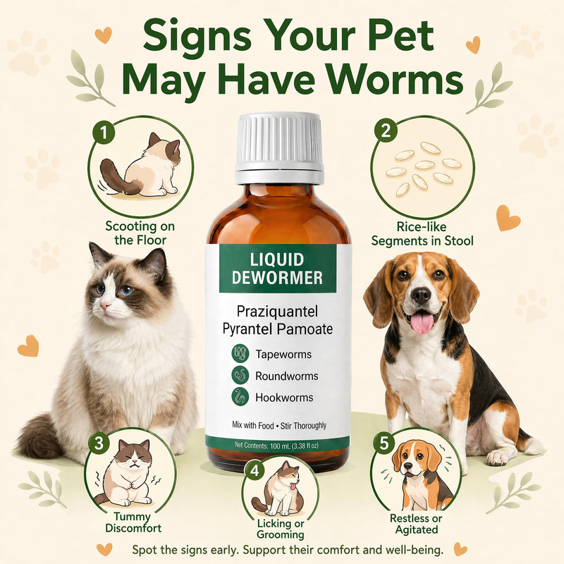 Praziquantel & Pyrantel Pamoate Liquid Dewormer for Cats & Dogs -Targets Tapeworms, Roundworms & Hookworms – 3.38 fl oz with Syringe