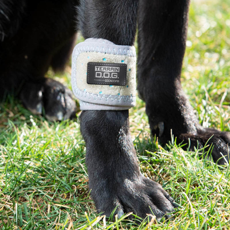 Terrain Dog Cooling Band - Icing and Cooling Therapy for Pet Joints - Machine Washable Wrap with Coolcore Technology Medium