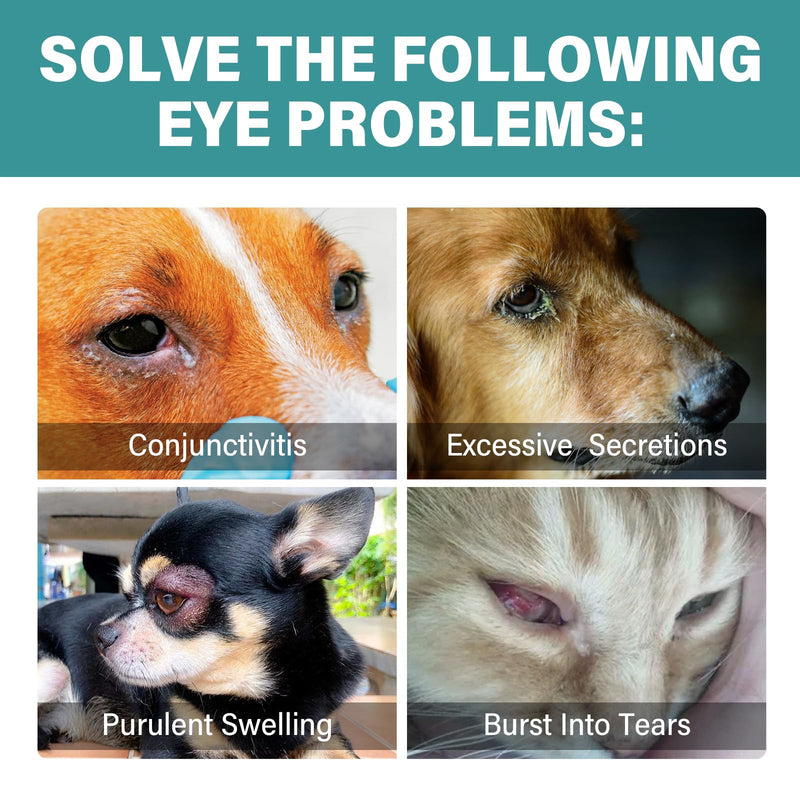 Cataract Drops for Dogs - Pet Gel Dog Eye Drops for Soothing Eye Discomfort, Reducing Tear Stains, and Supporting Eye Health, Gentle Formula for All Animals (2 X 20 ml)