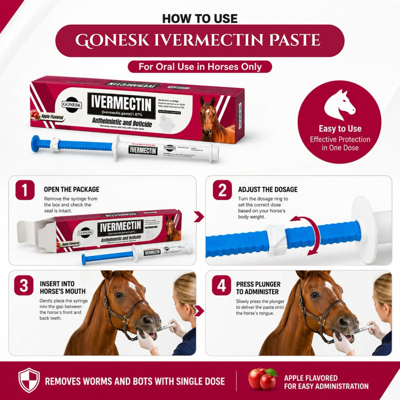 Horse Paste Gel 1.87% - 6.08g Tube Apple Flavor- for Horses Only (3 Pack)