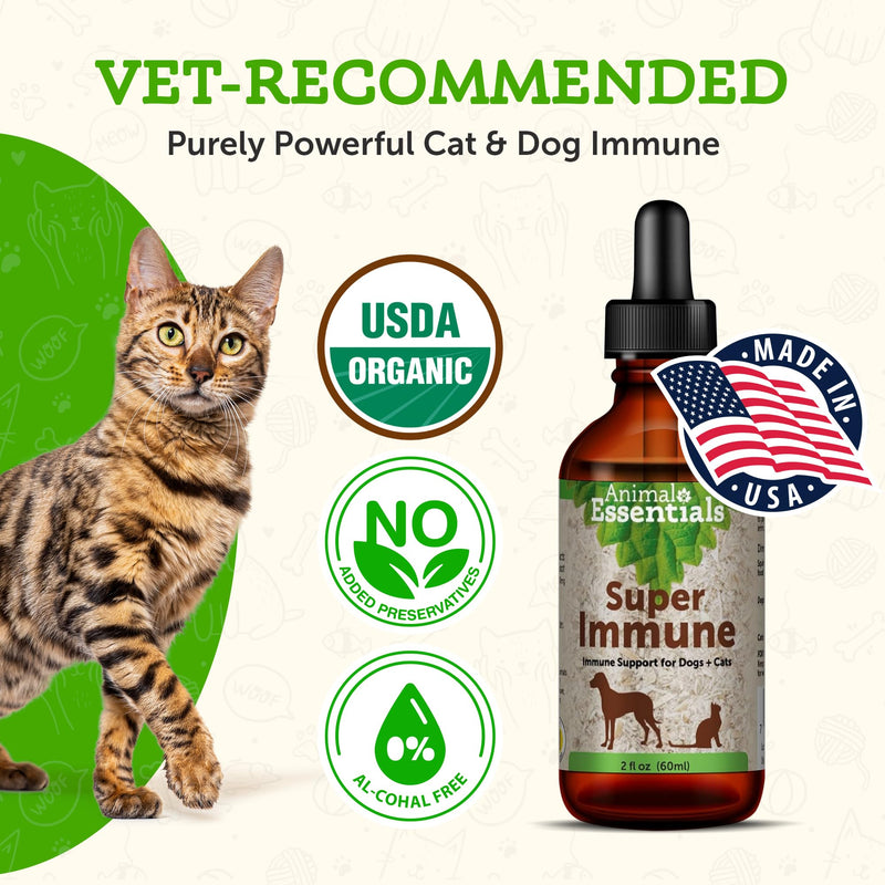 Animal Essentials Super Immune for Dogs & Cats - Immunity Support Supplement, Echinacea, Eleuthero, Olive Leaf Extract, Liquid Drops - 2 Fl Oz 2 fl oz (60 ml) - PawsPlanet Australia