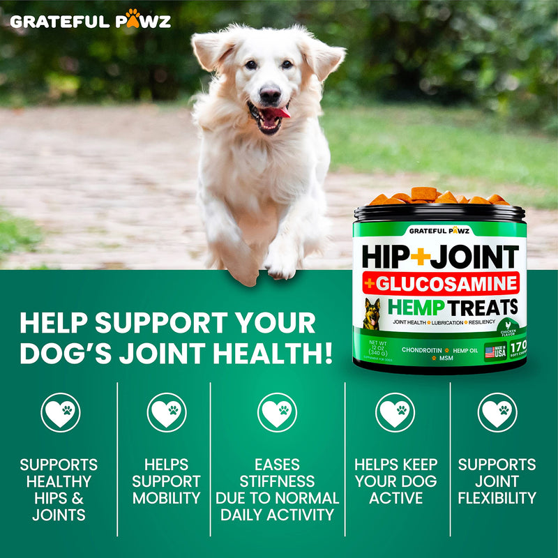 Hemp Hip and Joint Supplement for Dogs - Glucosamine for Dogs - 170 Joint Pain Relief Treats - Chondroitin, MSM, Hemp Oil - Advanced Health Supplement - Mobility Support Chews - Made in USA 12 OZ