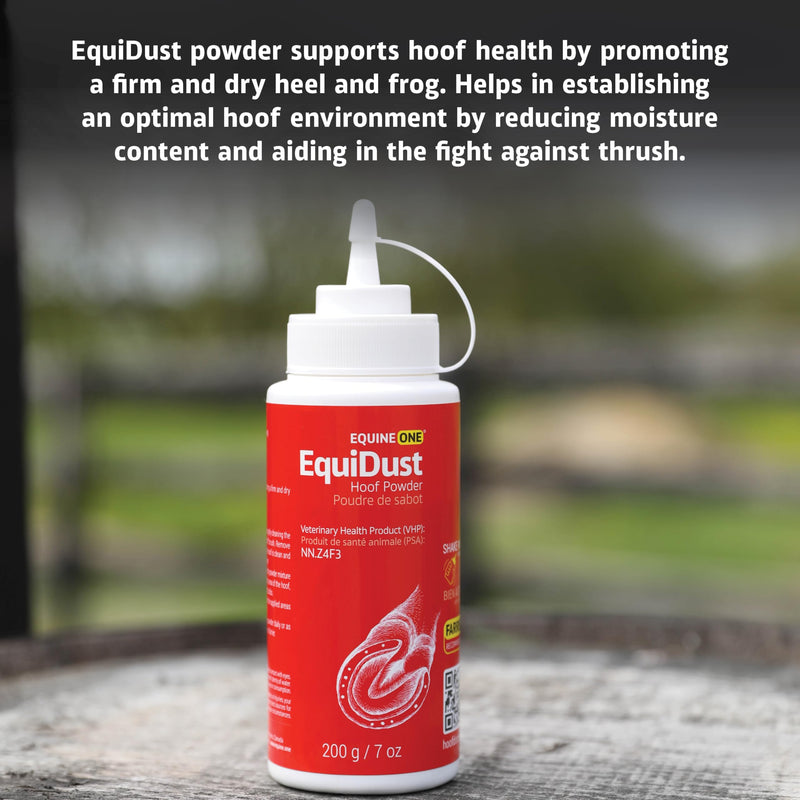 EquiDust - Hoof Powder - Blend Natural Minerals - Dry Heel and Frog | Thrush (7 oz)