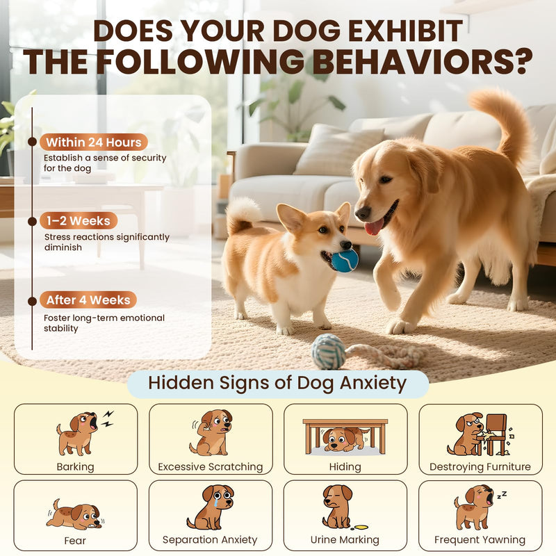 Dog Pheromones Calming Diffuser to Calm Dogs 4 IN 1 Kit (2 Diffusers+2 Refills) Pheromone Plug In for Stress Barking Pee Accidents Chewing Aggression Separation Anxiety Relief 60 Days(Odorless) Odorless