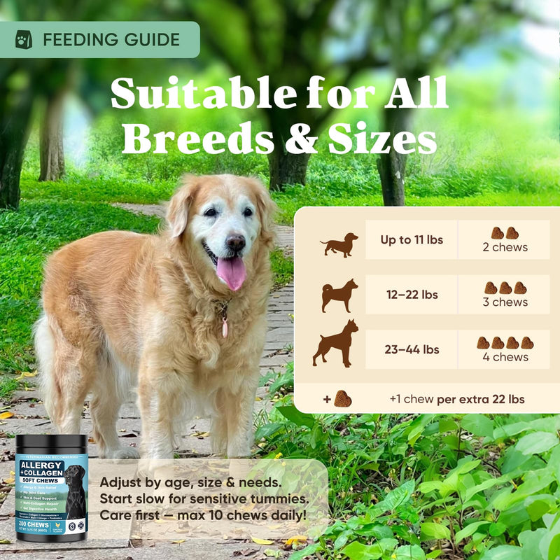 Dog Allergy Chews is Collagen Omega 3 Human Anti Itch Relief for Dogs Multivitamin Itching Skin Relief and Aller Immune Pet Allergy Chews Coat Licking Supplement Pills Meds Treats 200 Bites for Dogs 2 g/capsule 200pcs