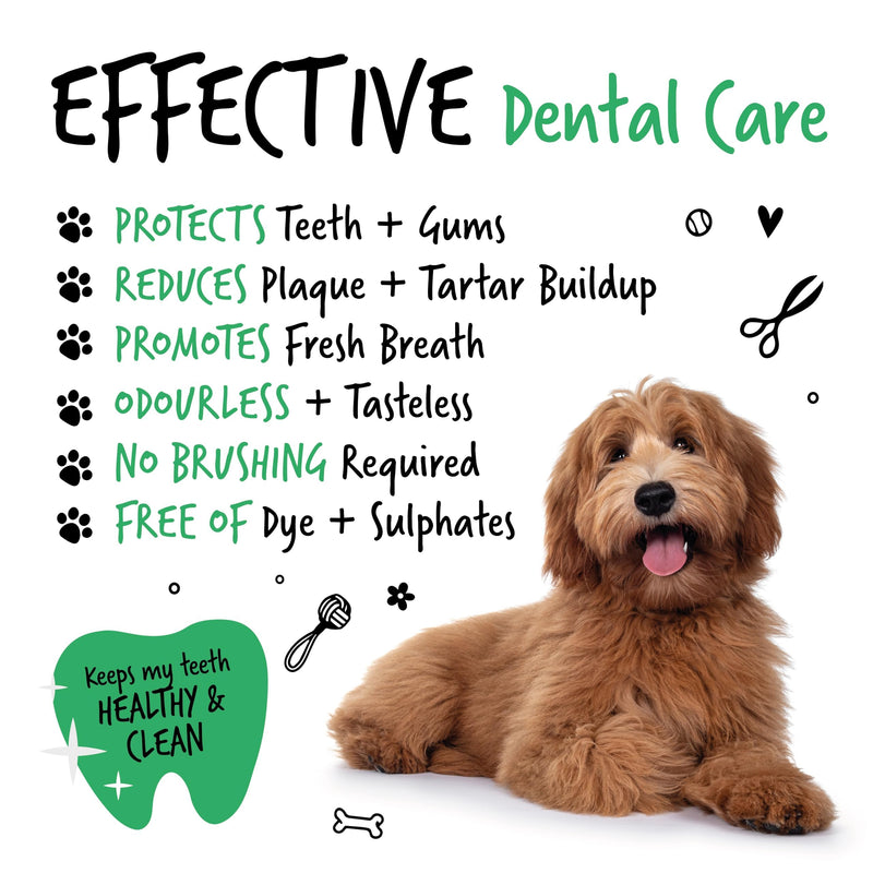 BUGALUGS Dog Breath Freshener Dental Care Water Additive. Clean Teeth, Healthy Gums & Fresh Breath - Natural Dog Plaque Remover & Tartar Remover for Teeth. No Brushing Needed (16.9 Oz Water Additive) 16.9 Oz Water Additive