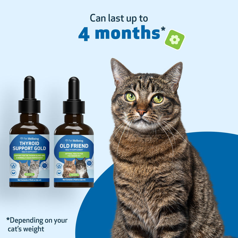 Pet Wellbeing Old Friend & Thyroid Support Gold for Senior Cats - NASC Certified & Vet-Formulated Senior Wellness & Thyroid Balance Bundle, Herbal Liquid Formula, Natural Bacon Flavor, 2 (2oz)