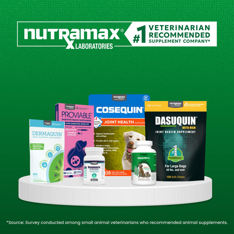 Nutramax Dermaquin Skin Support Supplement for Small to Medium Dogs and Cats, Supports Healthy Response to Allergens, with Hardy Kiwi, Omega-3s, and More, Tasty Soft Chews, 60 Count (Pack of 2)