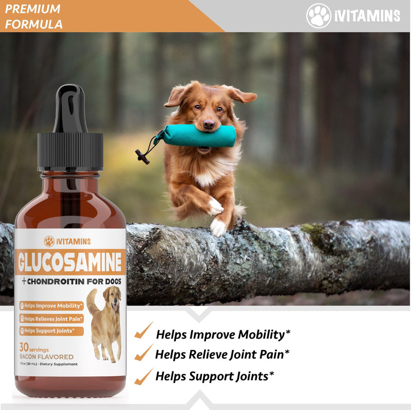 Glucosamine for Dogs - Dog Glucosamine - Supports Healthy Hips, Joints, Mobility & Much More - Dog Joint Supplement - Joint Supplement for Dogs - 1 fl oz - Bacon Flavor