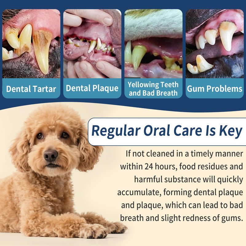 Dog Toothpaste, 4.23 Oz, Chicken Flavor, Fluoride Free, Effectively Prevents and Reduces Plaque and Tartar Buildup, Freshens Breath, Contains Lactobacillus, Suitable for Cats and Dogs