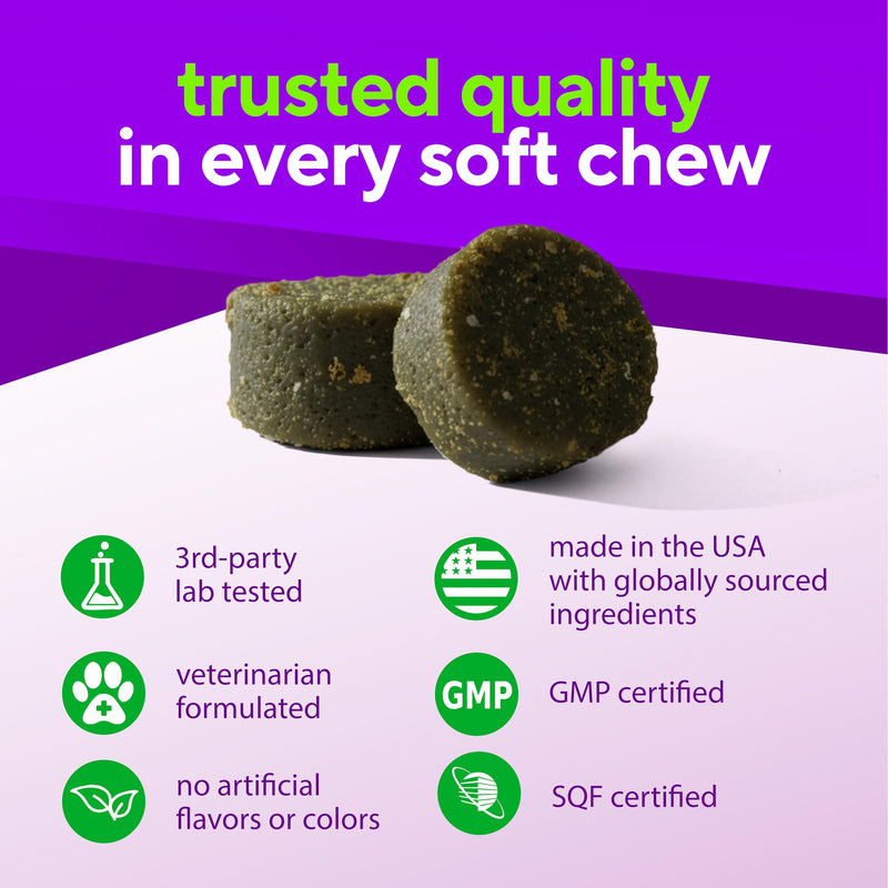 VitaFusion for Dogs Superfood Multivitamin – Daily Immune, Skin & Bone Support with Vitamins A, D & E + Antioxidant Superfoods – Vet Formulated Wellness for Puppies to Senior Dogs, 120 Chews.