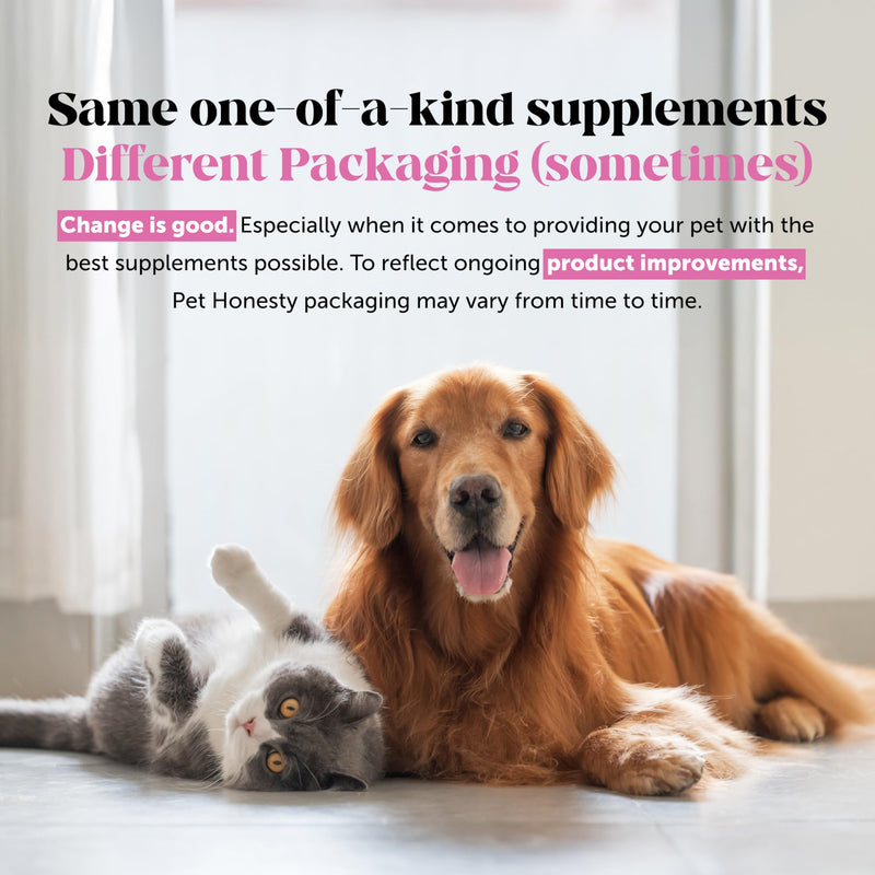 Hemp Calming Dog Dental Sticks - Reduce Stress + Occasional Anxiousness with Melatonin + Hemp to Promote Calm, Reduce Plaque + Tartar, Fresh Breath Teeth Cleaning Treats (Pumpkin Peanut Butter, 30 Ct)