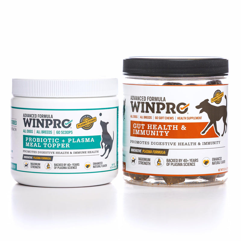 WINPRO Pet Gut Health & Probiotic + Plasma Meal Topper Bundle for Dogs (Plasma Powered Soft Chews and Meal Topper Powder for Digestive Health and Immune Health Support) Gut Health- Meal Topper Bundle