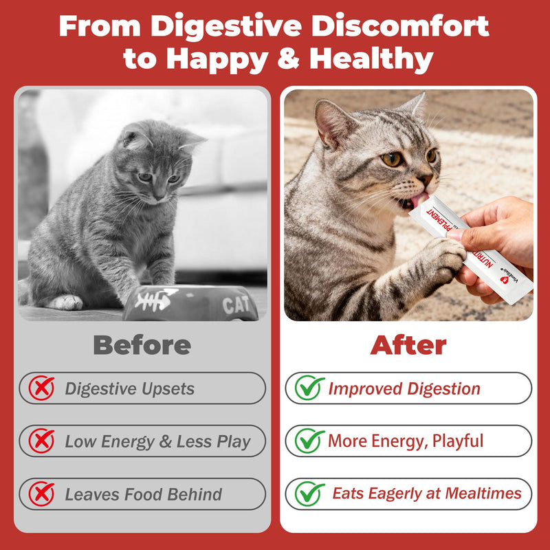 Probiotics for Cats & Digestive Support Gel – Cat Probiotic with Prebiotics, Taurine & Papain – Supports Gut Balance, Digestive Support & Immune Health – for Kittens & Adult Cats, Constipation Relief
