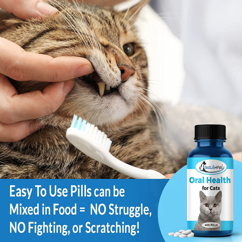 BestLife4Pets Oral Health for Cats and Dental Care Supplement – All Natural Anti-inflammatory Pain Relief for Stomatitis Gingivitis and Gum Disease - Easy to Use 1-Pack - PawsPlanet Australia