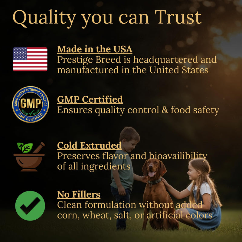 Vizsla Multivitamins, 90 Count, Made in the USA with Real Bacon.