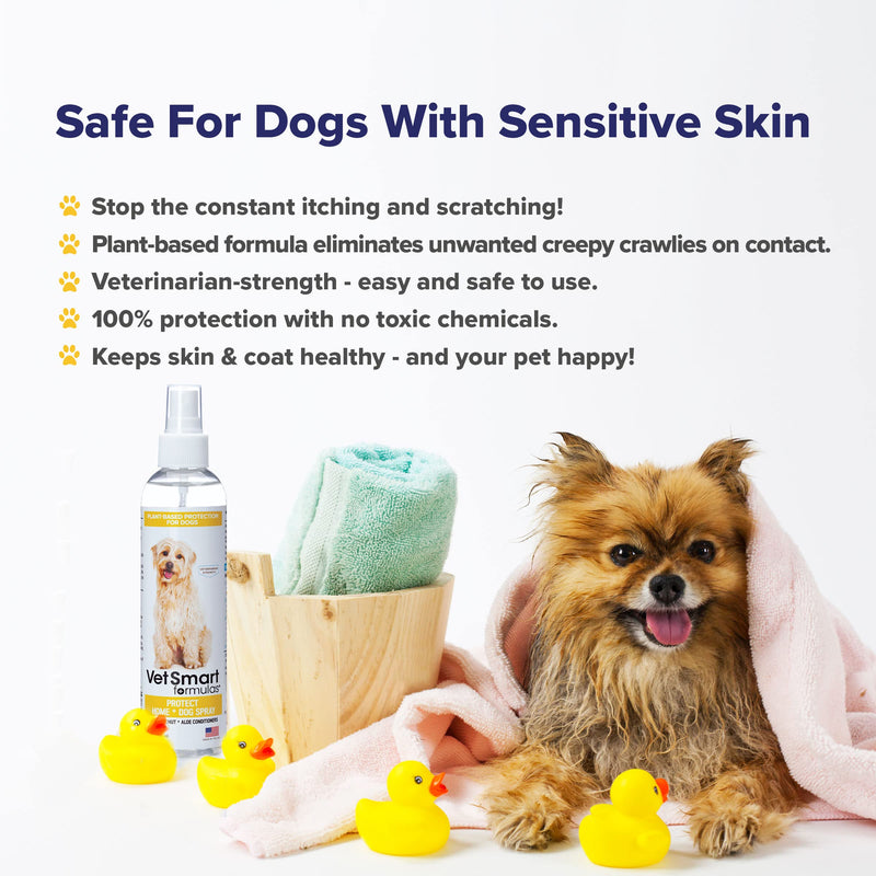 Protect Shampoo for Dogs; No More Scratching, Itching, or Hot Spots with Plant-Based All-Natural Formula with Healthy Essential Oils - Made in USA One Bottle - PawsPlanet Australia