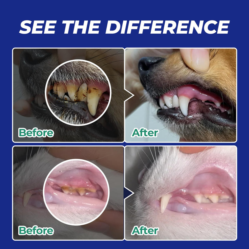 Wellix 8.82oz Dog Teeth Cleaning Powder - Dog Dental Care Powder and Cat Breath Freshener - Plaque and Tartar Remover with Enzymes & Mint for Dogs & Cats of All Ages and Breeds