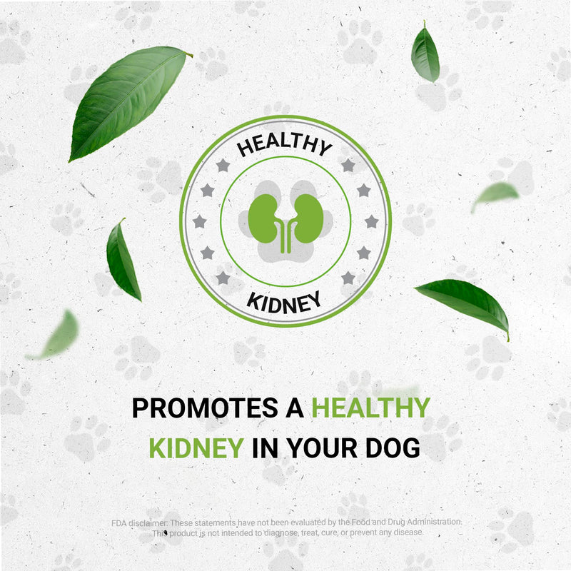 Wolf's Kidney | Natural Herbal Dietary Supplement | Healthy Kidney Function Support in Dogs | Alcohol-Free Extract, Rehmannia, Ginkgo, Echinacea, Marshmallow, Couch Grass, Hawthorn, Uva Ursi 2 oz - PawsPlanet Australia