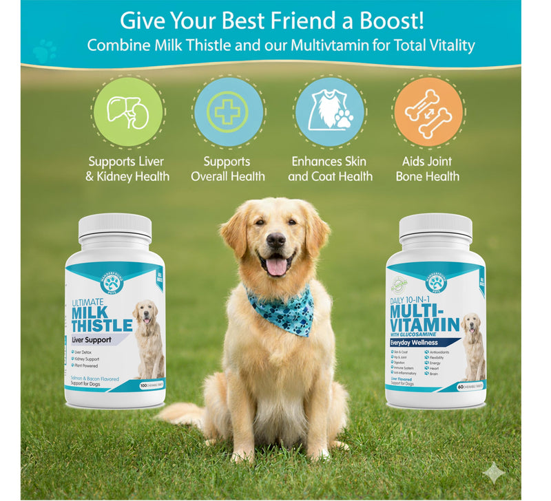 Milk Thistle + Multivitamin for Dogs Bundle