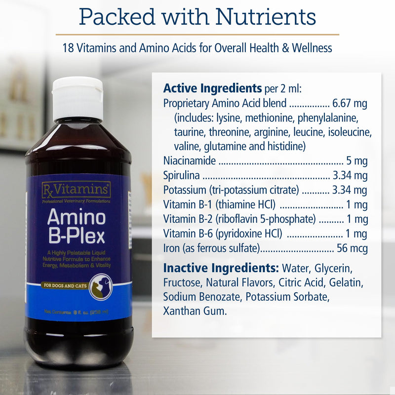 Rx Vitamins Amino B-Plex Cat & Dog Supplement - Vitamin B Complex Liquid Plus Amino Acids for Dogs & Cats - Appetite Booster and Cat & Dog Weight Gainer - Supplements & Vitamins - 8 oz 8oz