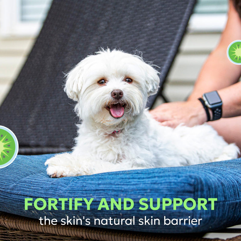 Nutramax Dermaquin Skin Support Supplement for Small to Medium Dogs and Cats, Supports Healthy Response to Allergens, with Hardy Kiwi, Omega-3s, and More, Tasty Soft Chews, 60 Count (Pack of 2)