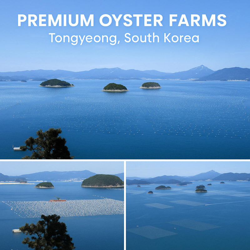 | Oyster Shell Flour 1lb – Finely Ground Calcium Material for Chickens, Ducks, Birds, Reptiles, Amphibians, and More – Crushed Oyster Shell Alternative | 굴껍질가루 (1lb) 1 Pound (Pack of 1)