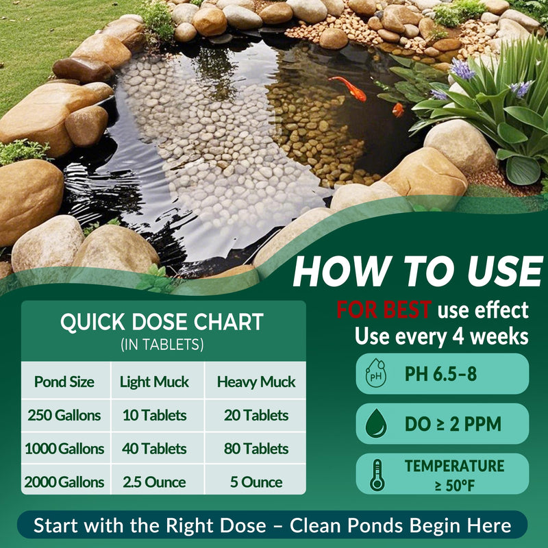 Muck Clear – Natural Pond Sludge Treatment, 500 Tablets for Ponds, Fountains & Bird Baths, Beneficial Bacteria & Enzymes, Chemical-Free & Safe for Fish, Pets & Wildlife 1LB