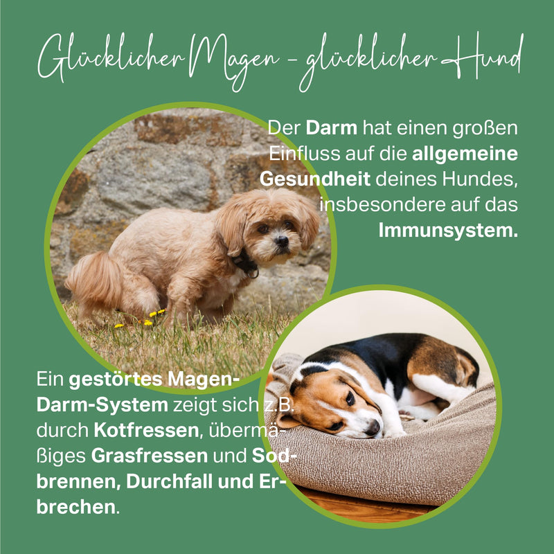 MEDIDOG 500g premium elm bark paste for dogs, ready to eat, better digestion, for eating stool, heartburn, diarrhea, slippery elm bark - PawsPlanet Australia