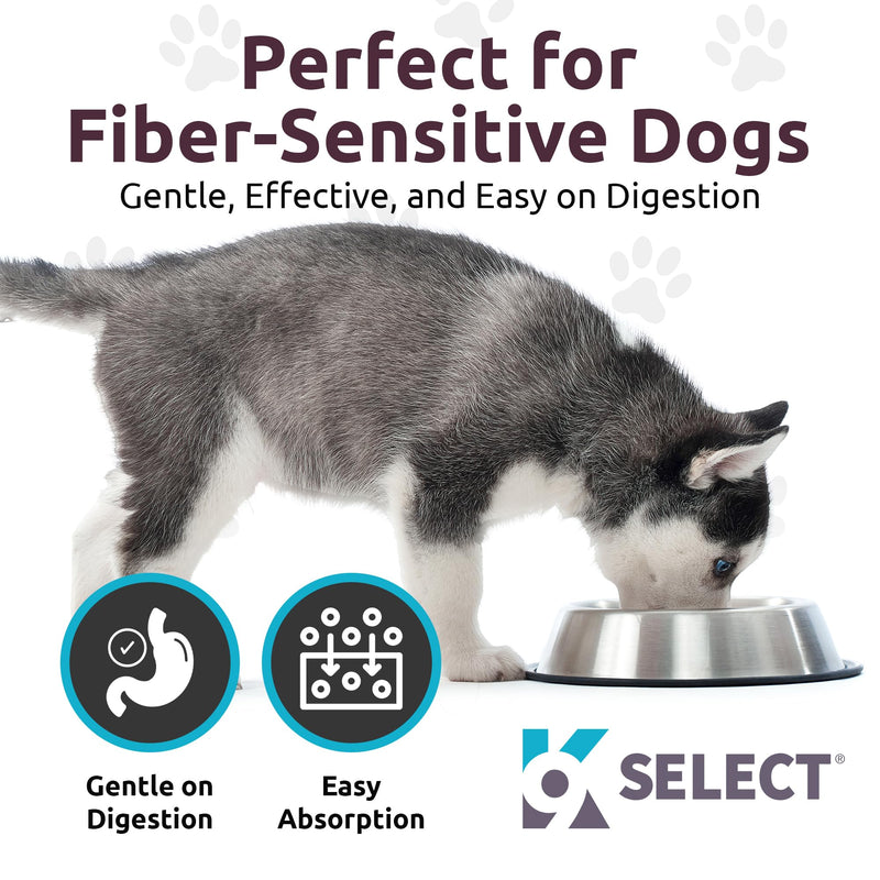 K9 Select HMR Lignans for Dogs - Enhancer for Overall Wellness, Immune Support for Dogs - Norway Spruce Extract Holistic Dog Health - Digestion, & Coat Care - Peanut Butter, 20mg, 90 Tablets - PawsPlanet Australia