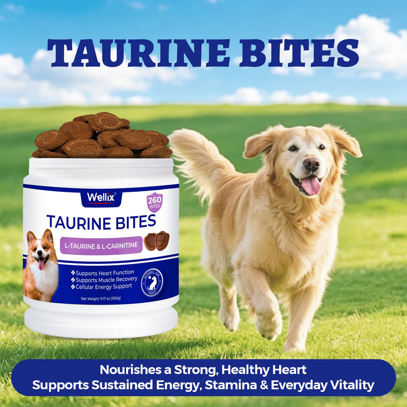 Wellix 9.17 oz, 25% Taurine for Dogs - Healthy Heart Supplements for Dog Chewable with CoQ10, Fish Oil, Vitamins, L-Carnitine - Heart Muscle Function & Cardiovascular Health, Antioxidant Support