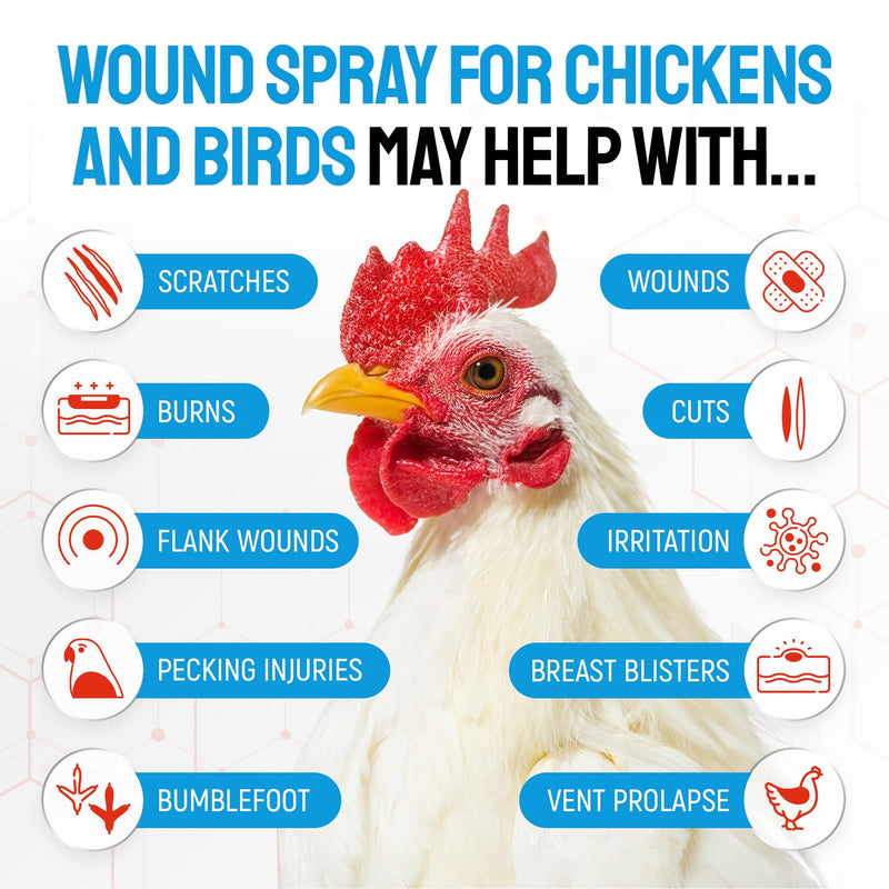 SILVER GRADE Wound Spray for Chicken – Birds & Chicken Antibiotics Alternative to Help with Pecking Sores, Bumblefoot, Cuts – Poultry Spray with Silver – GMOs Free – 4-Oz Bottle 4 Fl Oz