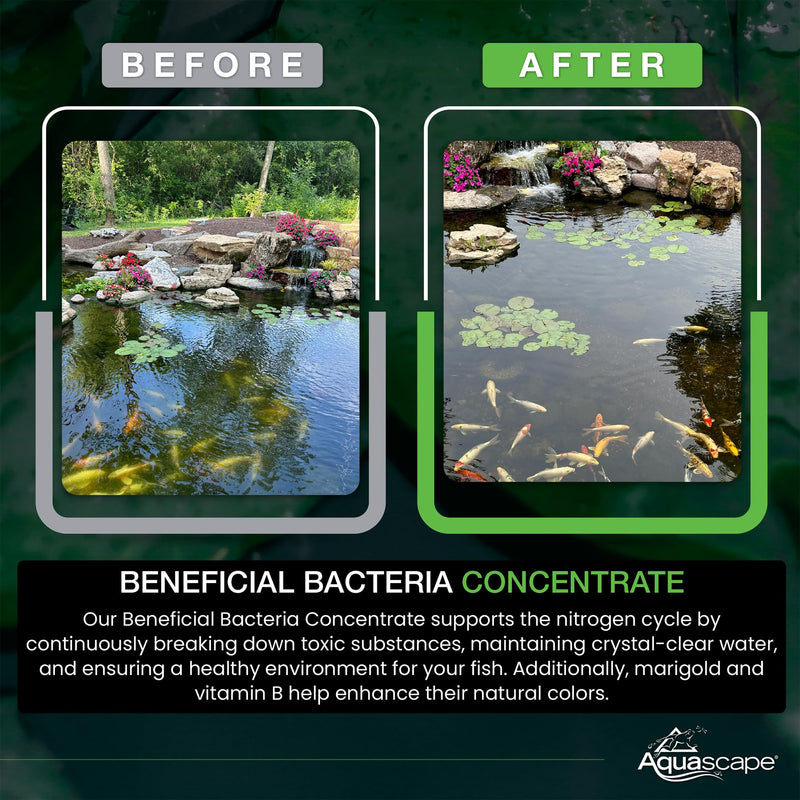 Aquascape Dry Beneficial Bacteria for Pond and Water Features, 4.4-Ounce | 98925,White 0.28 lb