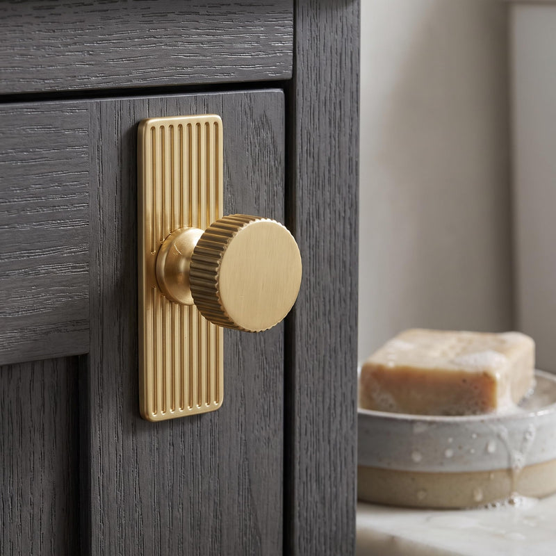 Goo-Ki Champagne Bronze Zinc Alloy Cabinet Large Knob with Backplate - Single Hole Center Cabinet Pull Hardware for Bedroom, Kitchen, 6 Pack 9596-G BackPlate G Large