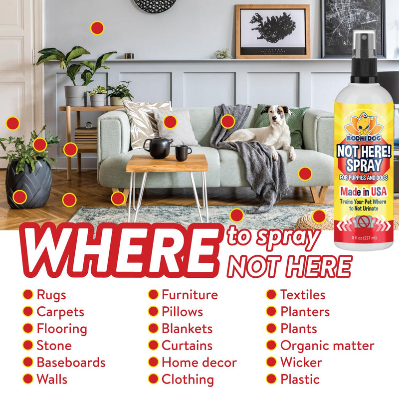 Bodhi Dog Not Here Spray - Trains Pets Where Not To Pee - Dog & Puppy Potty Training Spray to Stop Marking & Urinating Indoors or Outdoors - Safe for Furniture, Carpet & Floors - Made in USA (8 Fl Oz) Not Here! 8oz