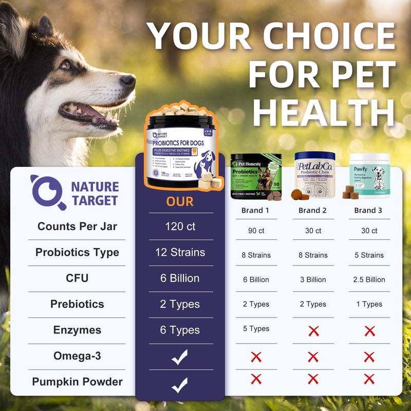 NATURE TARGET Probiotics for Dogs, 6 Billion Dog Probiotics with Prebiotics & Enzymes for Digestive & Gut Health, Pumpkin, Omega-3 & Multivitamins for Itchy Skin, Allergies, 120 Dogs Probiotics Chews 120 Count (Pack of 1)