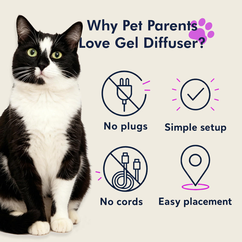 Cat Calming Diffuser Gel – Anti-Anxiety Pheromone Stress Relief for Cats & Kittens, Helps Reduce Stress-Related Behaviors, Drug-Free, No Electricity, 120 Days (4 Pods)