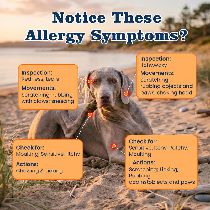 Dog Allergy Chews-120 Crunchy & Creamy Chews, anti-Allergy & Itching Skin Relief Bites Immune Support, with Omega 3 Fish Oil Probiotics for Seasonal All Issues Allergies Made in USA Chicken Flavor 120 counts