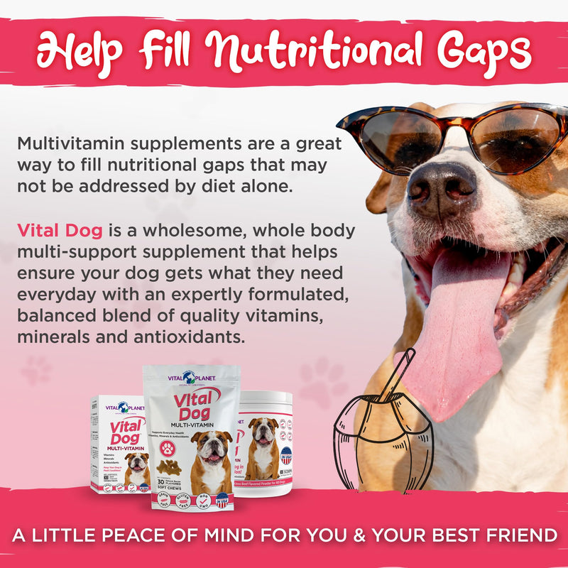 Vital Planet - Vital Dog Multivitamin for Everyday Health with Vitamins, Minerals and Antioxidants - 30 Bacon Flavored Soft Chews - PawsPlanet Australia