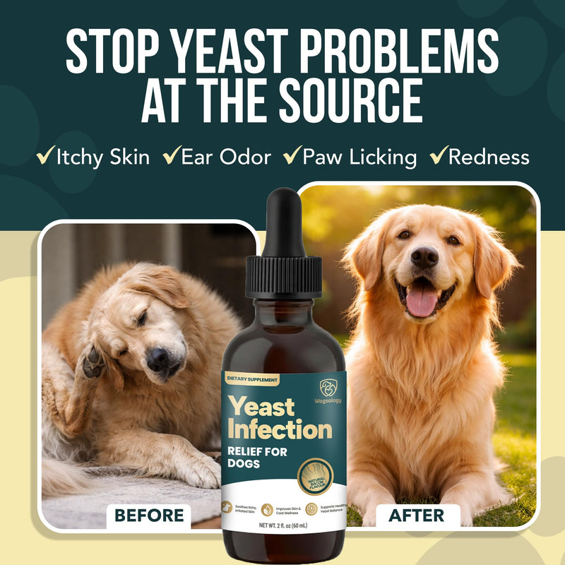 Yeast Infection Treatment for Dogs Drops (7 in 1 Formula) Soothes Itchy & Irritated Skin, Improves Skin and Coat, Dog Yeast Infection Treatment & Anti Yeast Drops for Dogs 60 ml